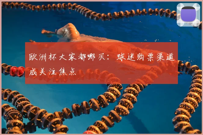 欧洲杯大家都哪买：球迷购票渠道成关注焦点