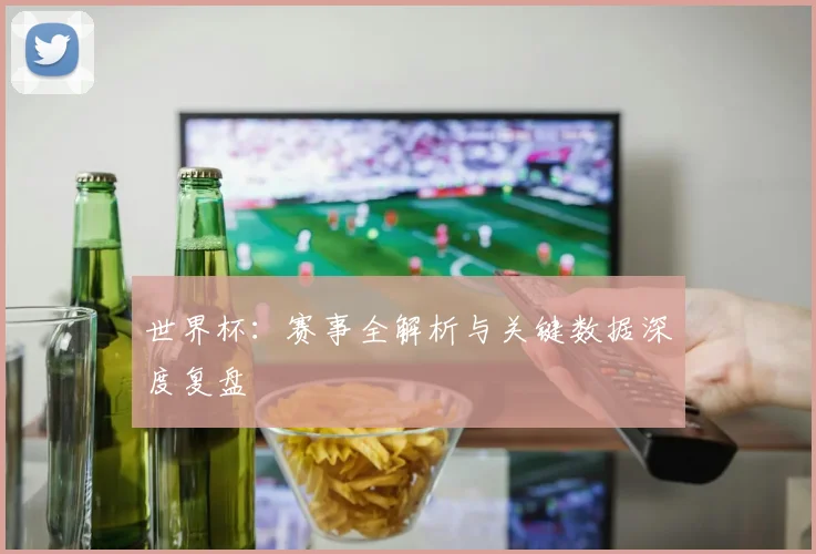 世界杯：赛事全解析与关键数据深度复盘
