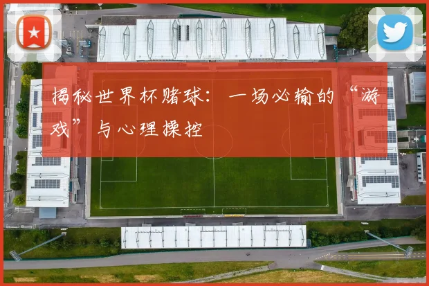 揭秘世界杯赌球：一场必输的“游戏”与心理操控