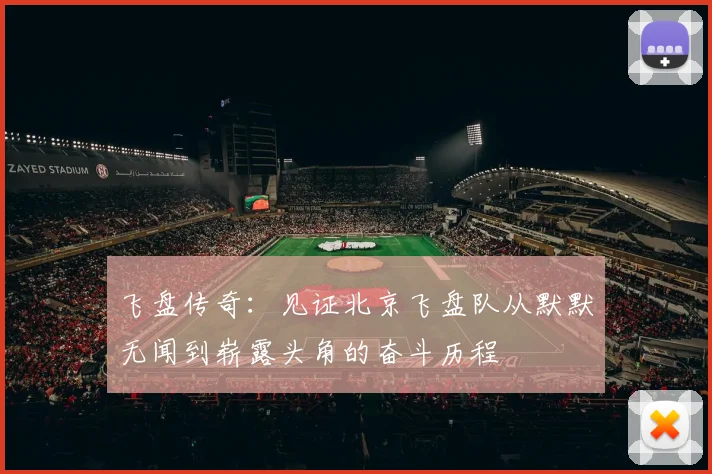 飞盘传奇：见证北京飞盘队从默默无闻到崭露头角的奋斗历程