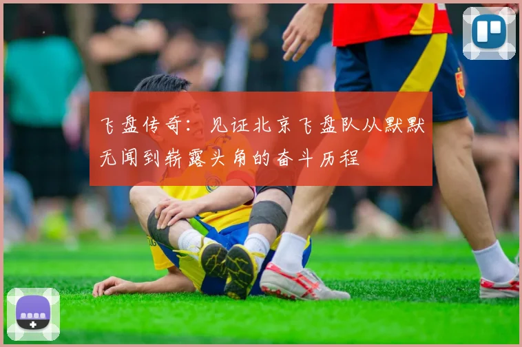 飞盘传奇：见证北京飞盘队从默默无闻到崭露头角的奋斗历程