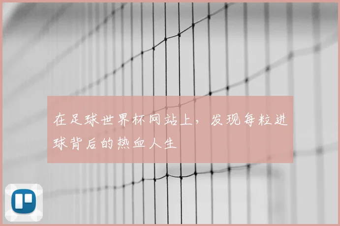 在足球世界杯网站上，发现每粒进球背后的热血人生