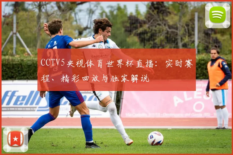 CCTV5央视体育世界杯直播:实时赛程、精彩回放与独家解说