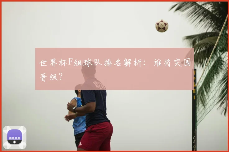 世界杯F组球队排名解析：谁将突围晋级？