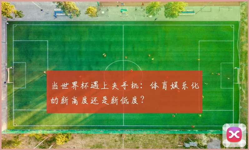 当世界杯遇上夹手机：体育娱乐化的新高度还是新低度？