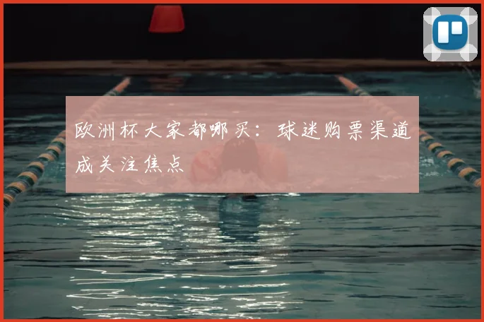 欧洲杯大家都哪买：球迷购票渠道成关注焦点