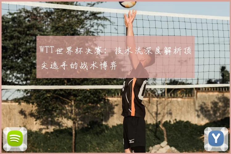 WTT世界杯决赛:技术流深度解析顶尖选手的战术博弈