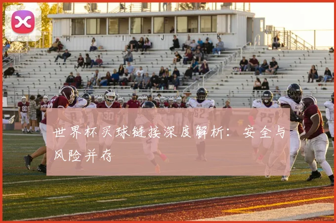 世界杯买球链接深度解析：安全与风险并存