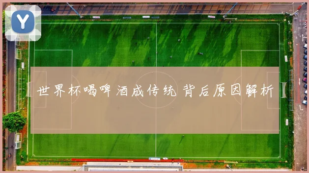 世界杯喝啤酒成传统 背后原因解析