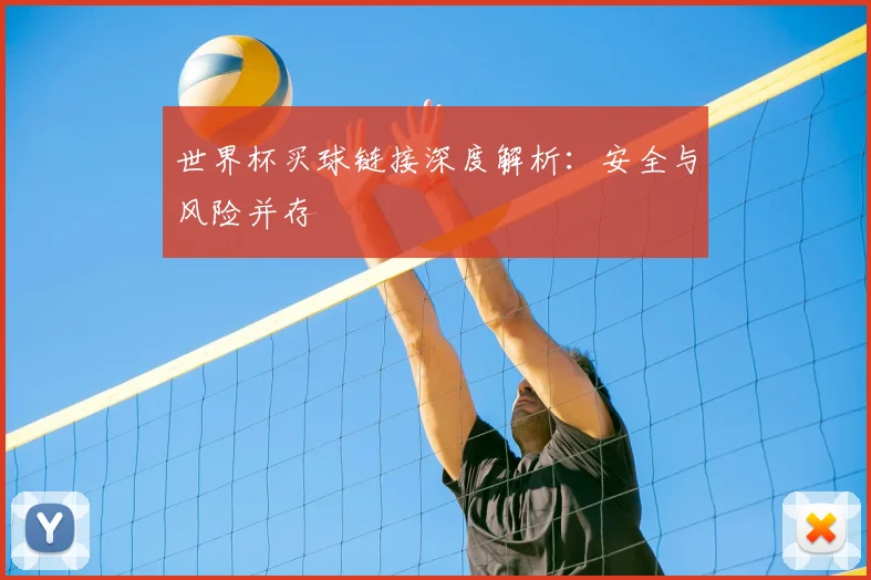 世界杯买球链接深度解析：安全与风险并存