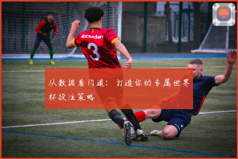 从数据看门道：打造你的专属世界杯投注策略