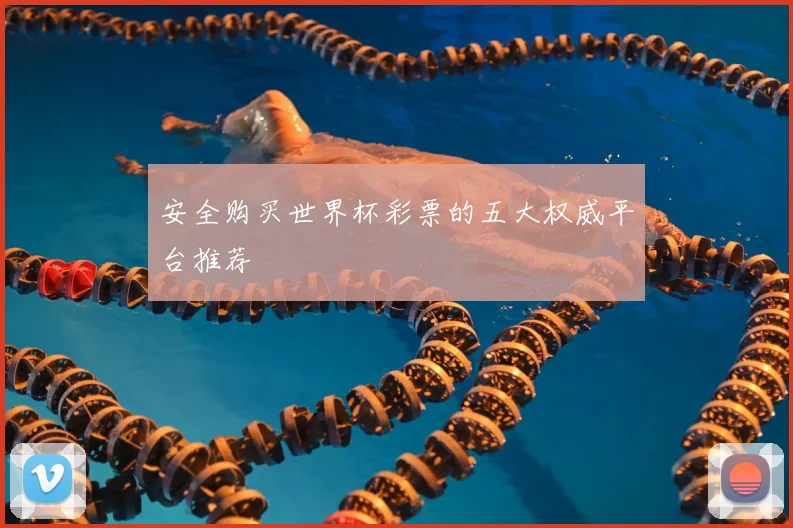 安全购买世界杯彩票的五大权威平台推荐