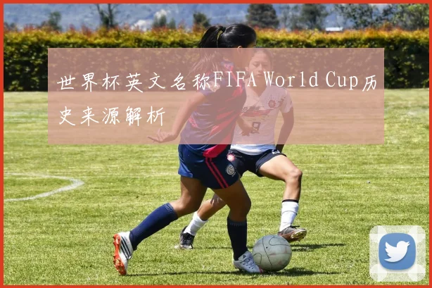世界杯英文名称FIFA World Cup历史来源解析