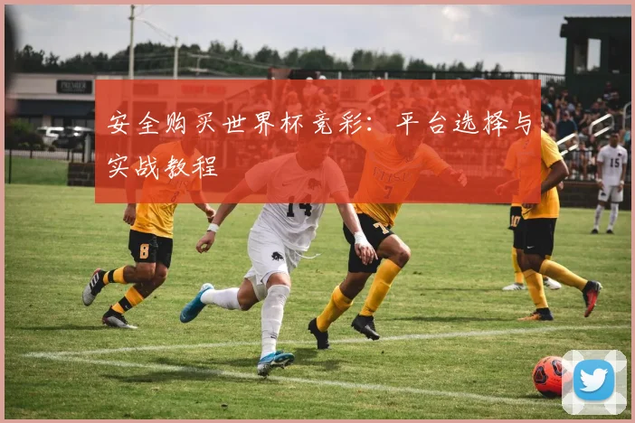 安全购买世界杯竞彩：平台选择与实战教程