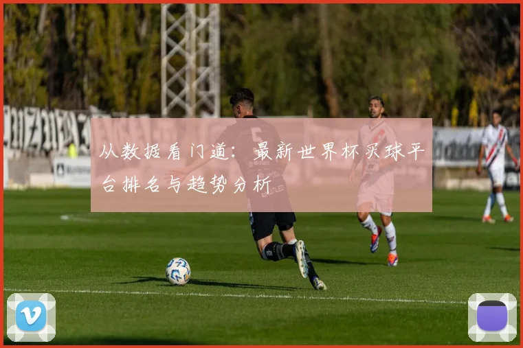 从数据看门道：最新世界杯买球平台排名与趋势分析